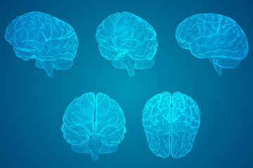 【活接头的安装方法视频,管活接头的安装方法】