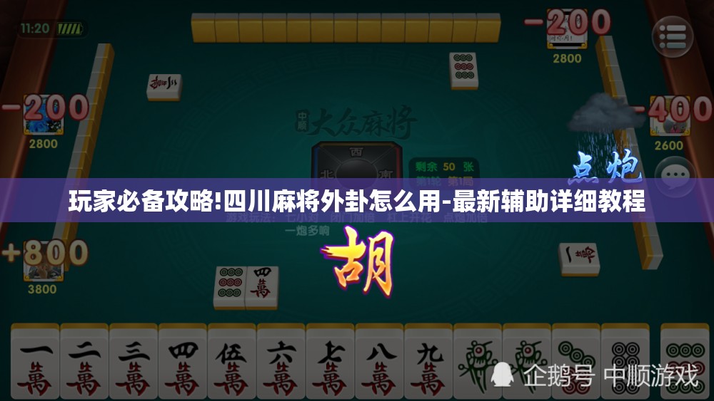 玩家辅助神器:“微乐海南麻将万能开挂器免费”【透视软件教程分享】