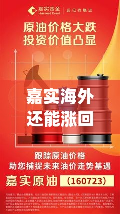 嘉实海外还能涨回来吗(嘉实基金个人账户查询)