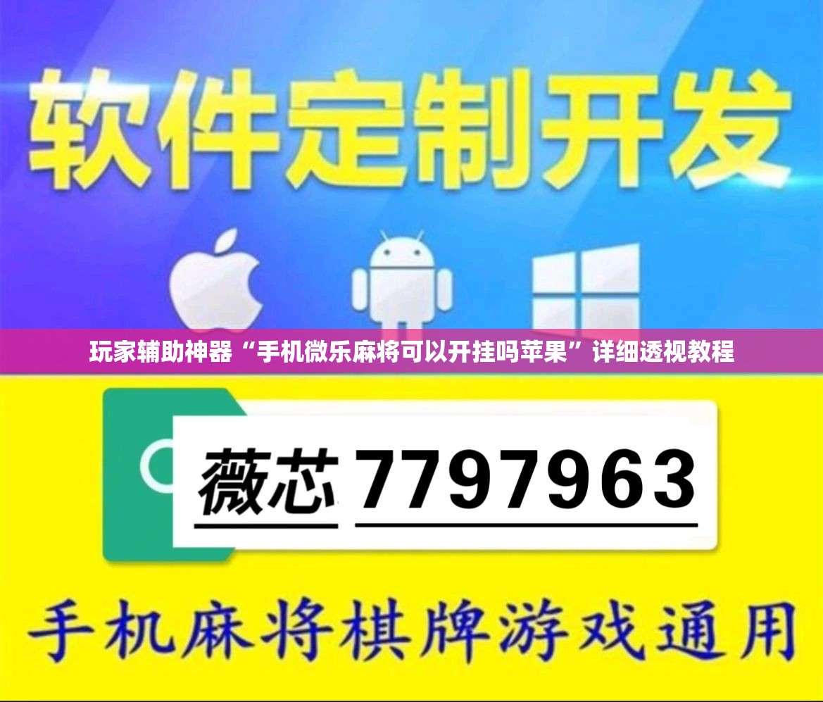 玩家辅助神器“手机微乐麻将可以开挂吗苹果”详细透视教程