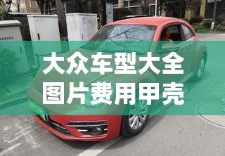 大众车型大全图片费用甲壳虫/大众甲壳虫车型都有哪些 大众车型大全图片费用甲壳虫/大众甲壳虫车型都有哪些