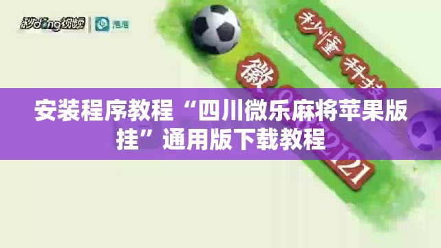 安装程序教程“四川微乐麻将苹果版挂”通用版下载教程