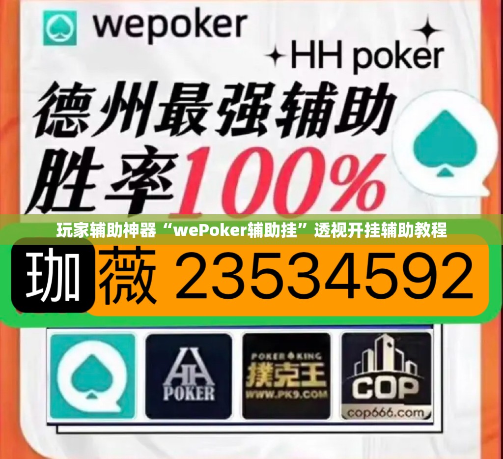 玩家辅助神器“wePoker辅助挂	”透视开挂辅助教程