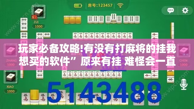 玩家必备攻略!有没有打麻将的挂我想买的软件”原来有挂 难怪会一直输