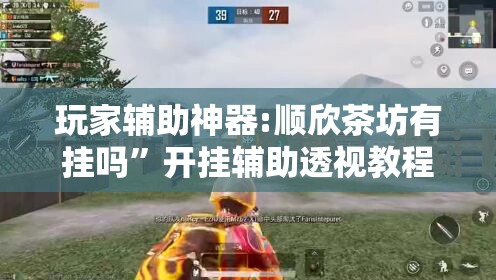 玩家辅助神器:顺欣茶坊有挂吗”开挂辅助透视教程