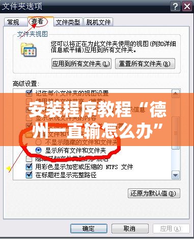 安装程序教程“德州一直输怎么办”2026开挂教程步骤