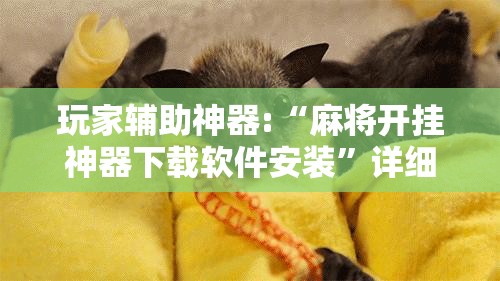 玩家辅助神器:“麻将开挂神器下载软件安装	”详细辅助教程分享