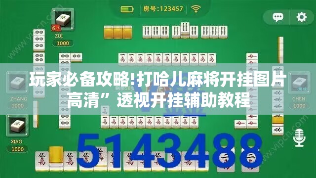 玩家必备攻略!打哈儿麻将开挂图片高清	”透视开挂辅助教程